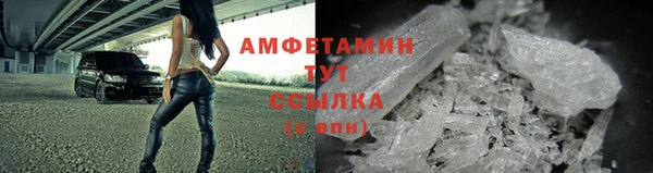 гидра Нея