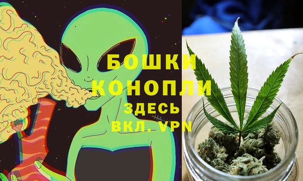 гидра Нея