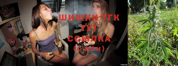 молекула духа Нефтегорск