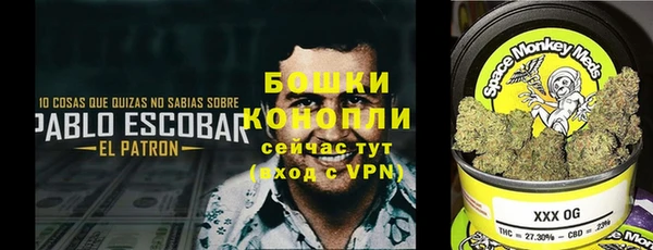 молекула духа Нефтегорск