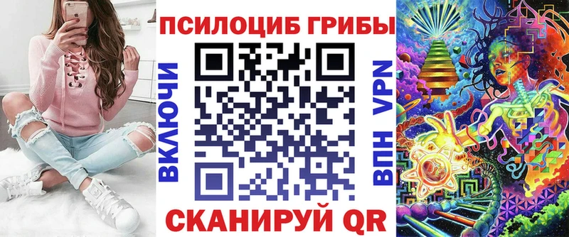 Псилоцибиновые грибы Cubensis  Бакал 