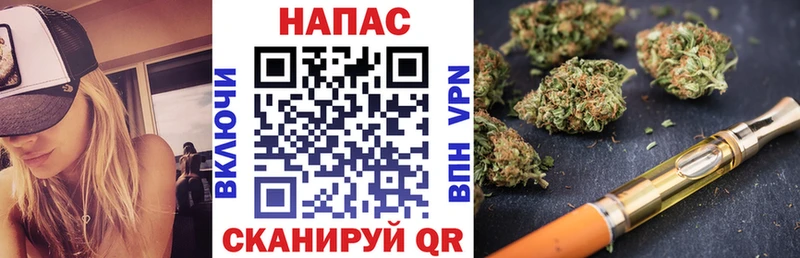 Канабис планчик  Бакал 